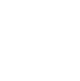 Video play icon